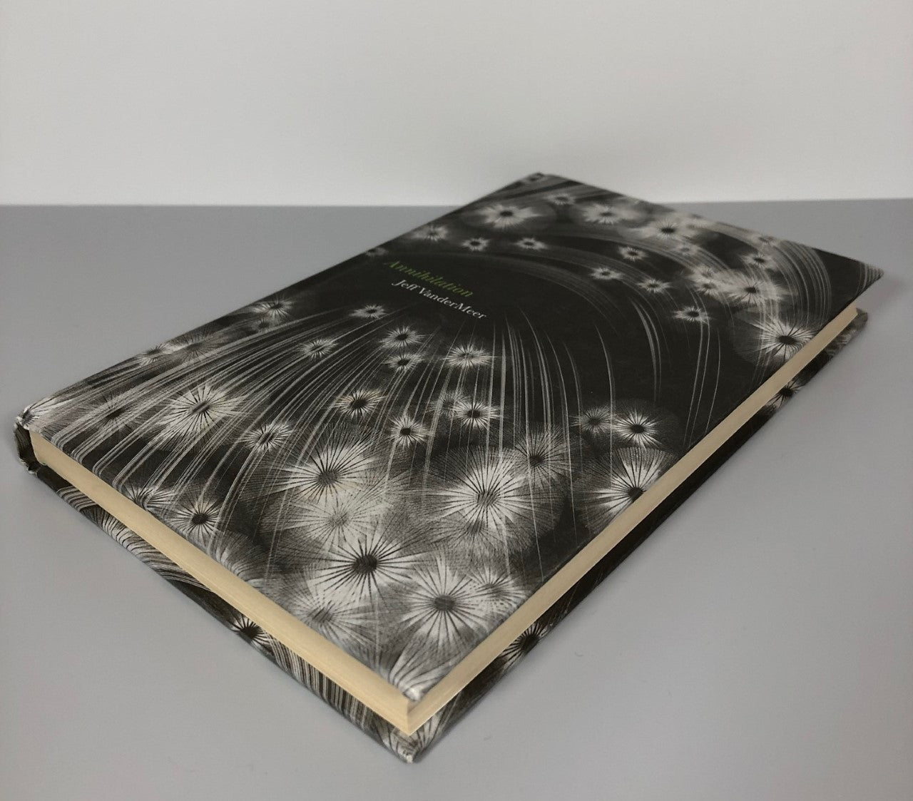 Annihilation by Jeff VanderMeer (First Edition, First Print, HC, NF)