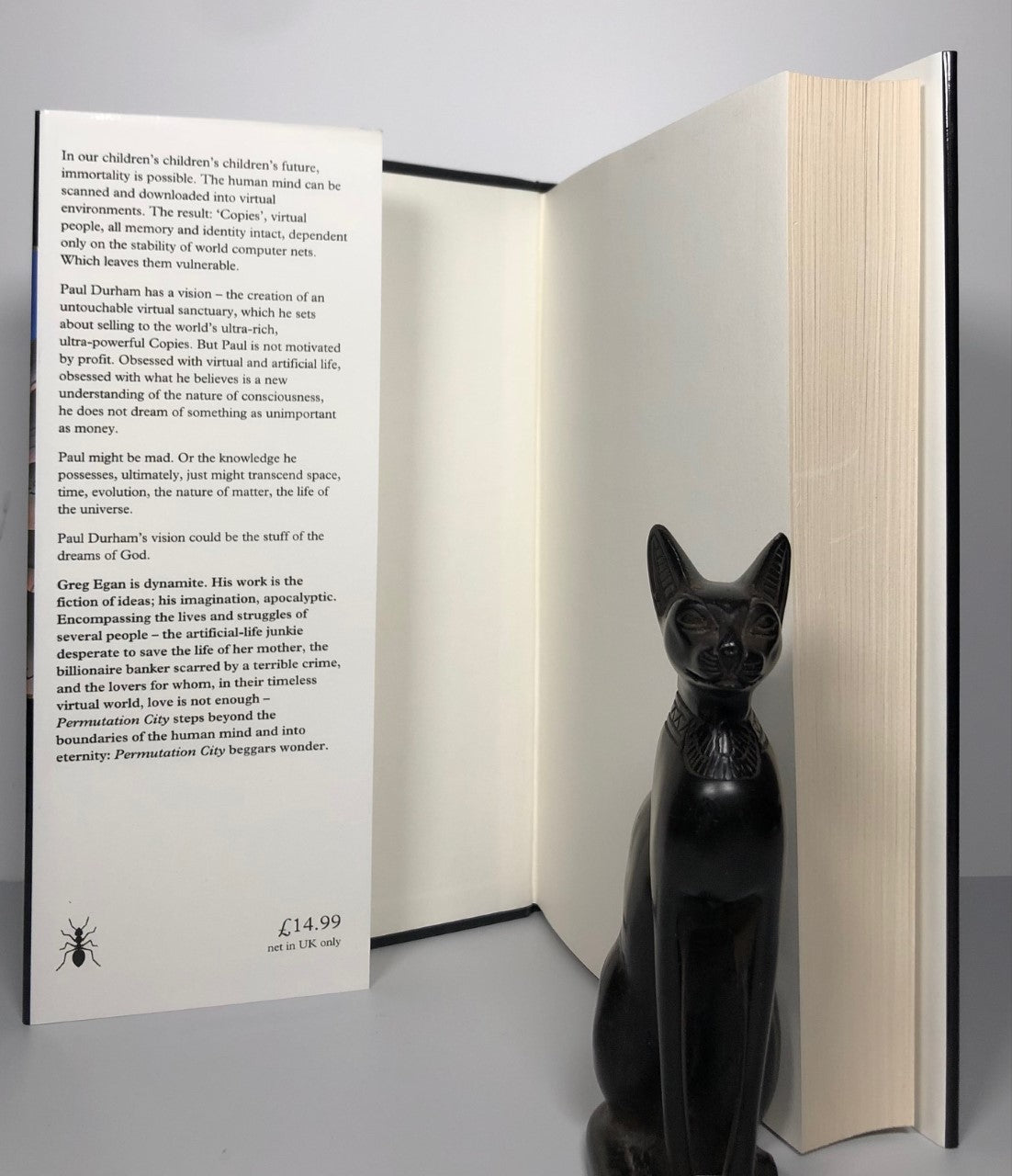 Permutation City by Greg Egan (First Edition, First Print, HC, F)