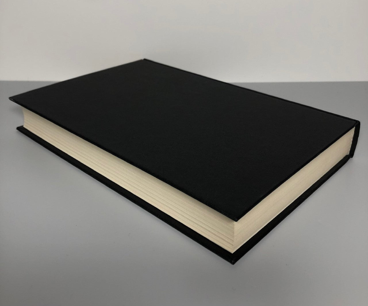 Permutation City by Greg Egan (First Edition, First Print, HC, F)