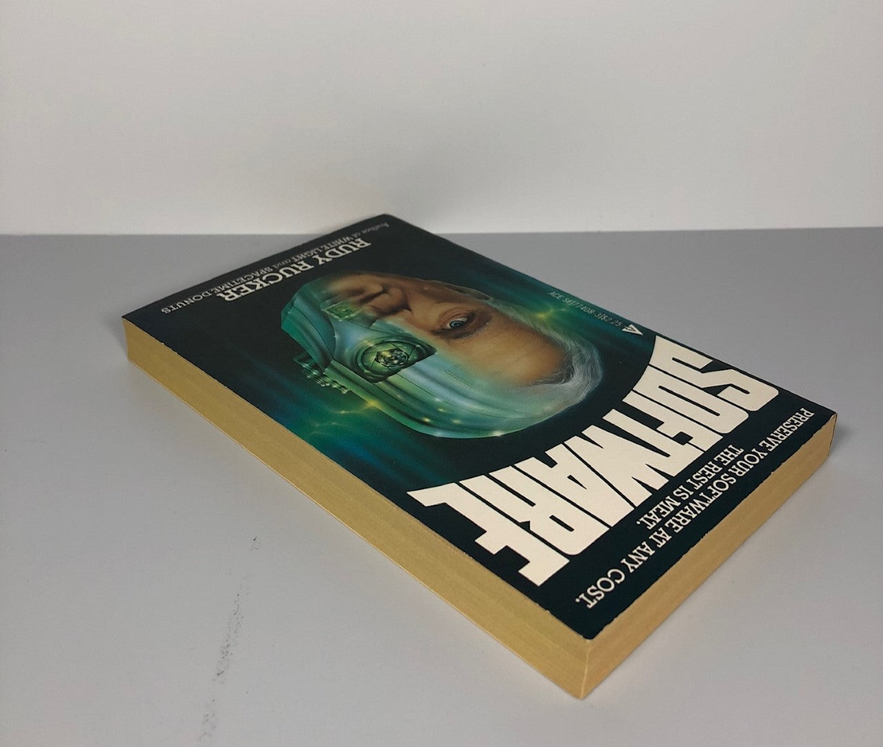 Software by Rudy Rucker (First Edition, First Print, SC, VF)