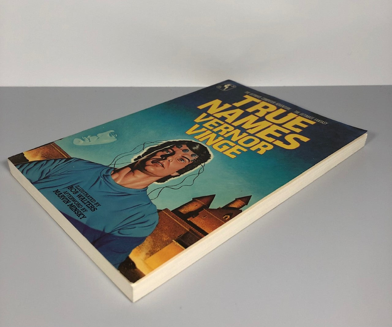 True Names by Vernor Vinge (First Edition, First Print, SC, NF)