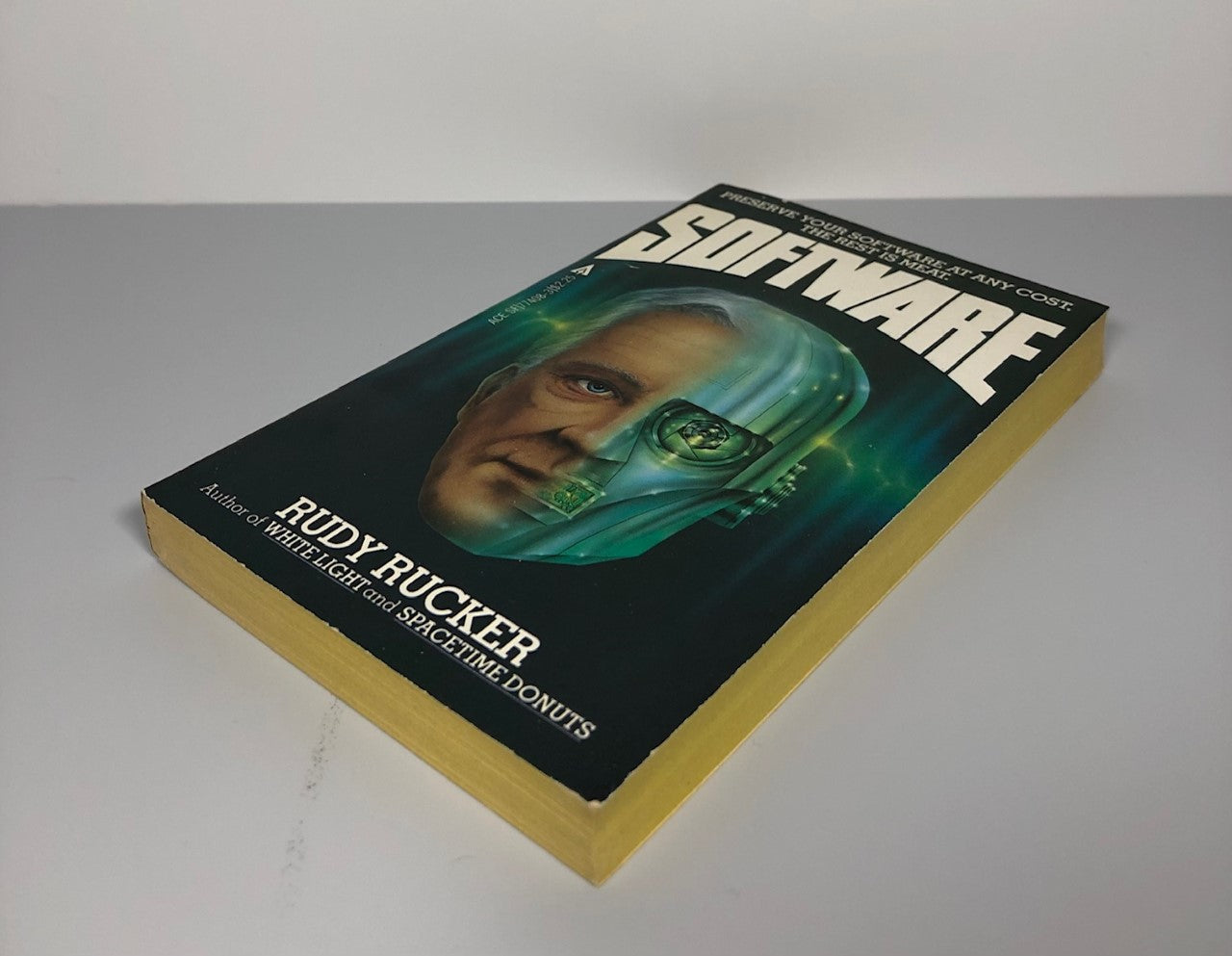 Software by Rudy Rucker (First Edition, First Print, SC, F)