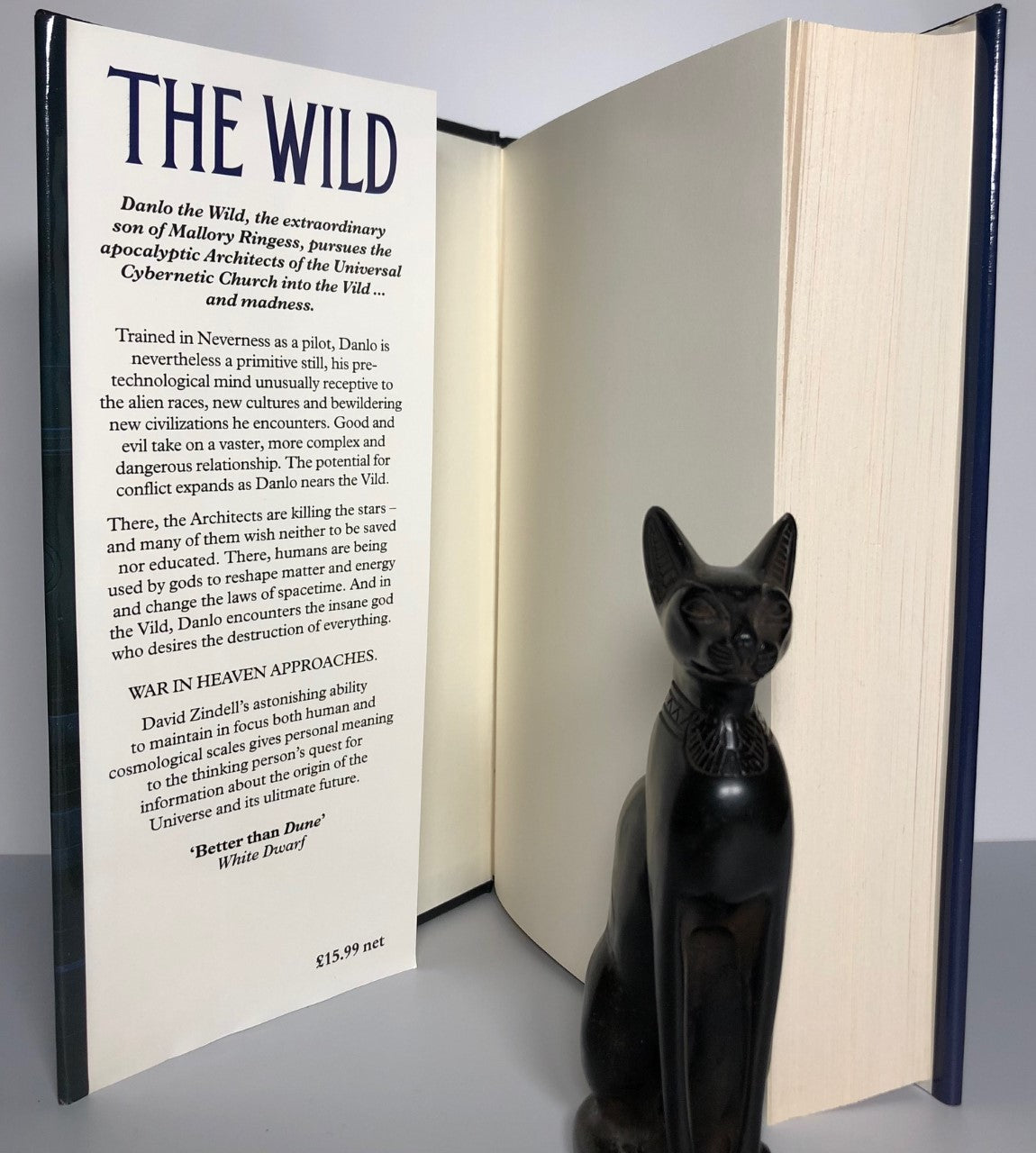 The Wild by David Zindell (First Edition, First Print, HC, F)