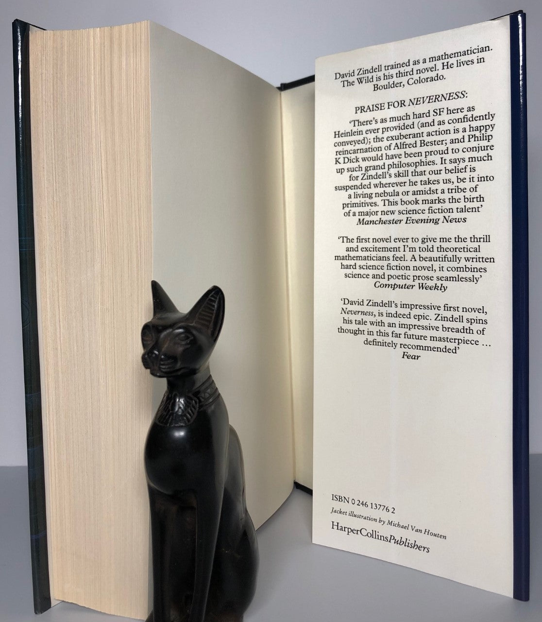 The Wild by David Zindell (First Edition, First Print, HC, F)