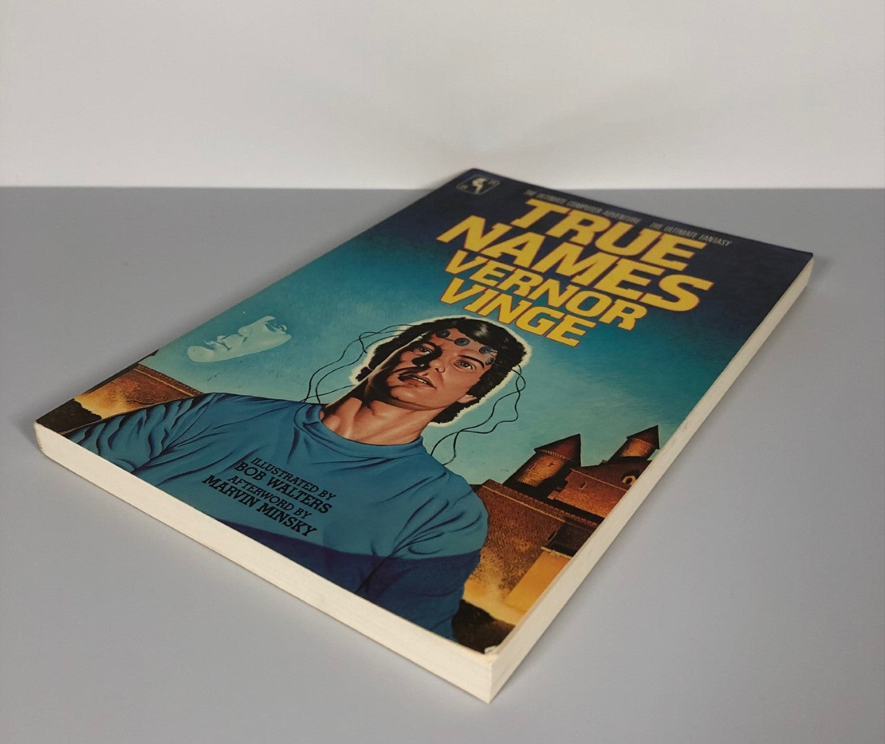 True Names by Vernor Vinge (First Edition, First Print, SC, F)