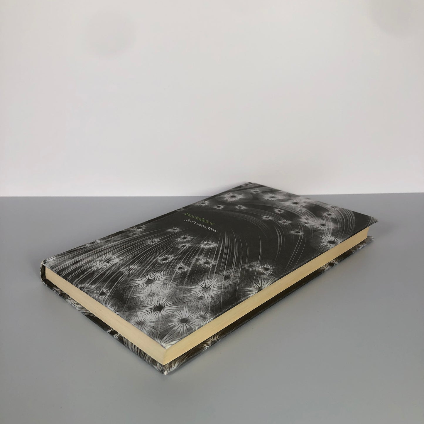 Annihilation by Jeff VanderMeer (First Edition, First Print, HC, F)