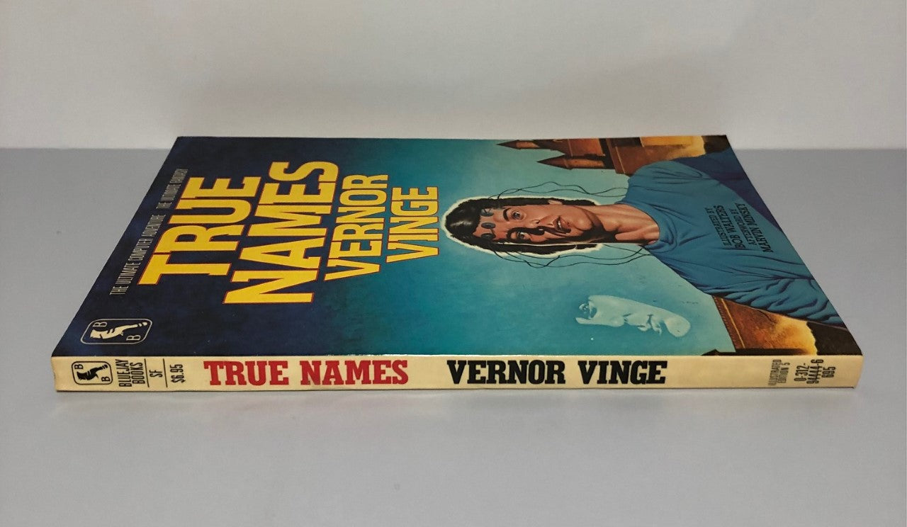 True Names: and the Opening of the Cyberspace Frontier by Vernor Vinge